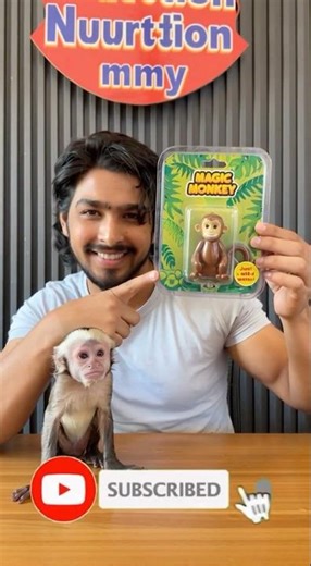 Toy Monkey turned into Real Monkey! 🐒✨ | Magic or Real?