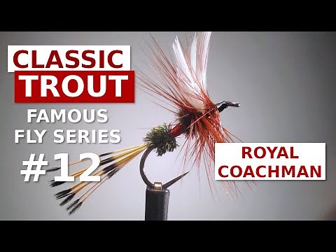 Royal Coachman - Fly Tying the Original American Dry Fly