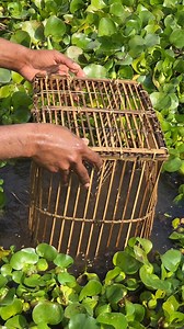 Fishing with bamboo tools | Fishing Today