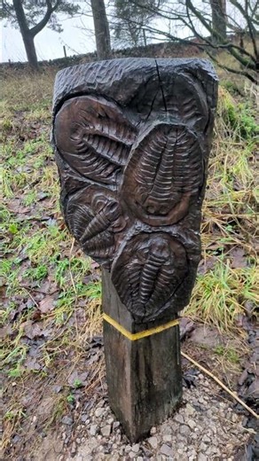 Unusual Sculpture Hidden in the Forest – Mysterious Discovery