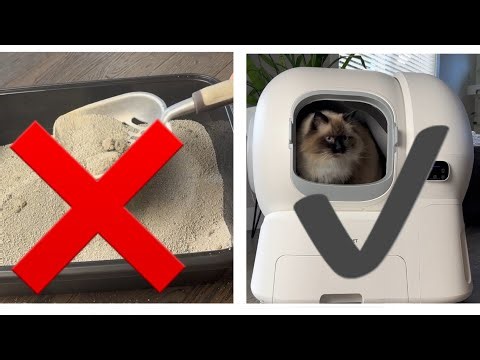Still scooping? The best litter box for large cats! @homerunPet