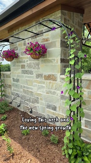 The XL may be gone but other sizes are available. Check it out. #gardentrellis #gardenarbor #springflowers.