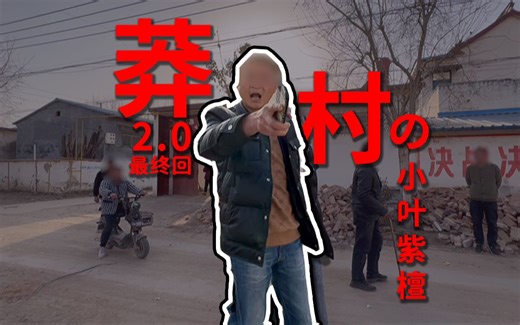 螃蟹账号线下被打后续与结果！撞到“小叶紫檀”后竟差点走不出“莽村”？