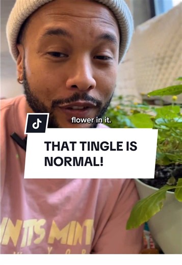 Join Us for Live Deals on Flintts Mints!