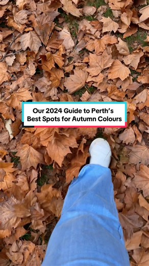 Perth's Best Spots for Autumn Colours: A 2024 Travel Guide