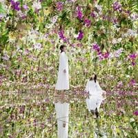 Step inside a 'floating' flower garden in Tokyo