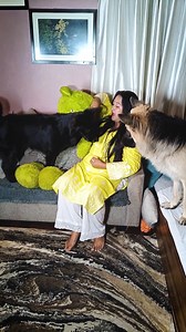 Zeus feels he is getting cheated. 😂😂 #CameraBaba #doggo #germanshepherdofinstagram #germanshepherdworld #gsdnation #dogtraining #cute #husky #gsddaily #instagram #gsdlover #dogphotography #germanshepherdlovers #germanshepherddaily #gsdofig #germanshepherdlove #rottweiler #pitbull #doberman #gsdpage #pet #rescuedog #gsdlovers #germanshepherdsofig #puppylife #goldenretrievers #dog #gsd #germanshepherd | CameraBaba