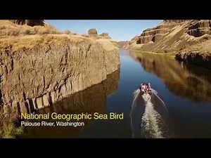Palouse River's Stark Landscape
