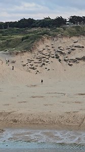This evening at Crantock Beach, Cornwall | Share Cornwall