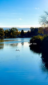 When I imagine fall, this is it 🍁 I have to admit we are having delightful autumn weather. Down right chilly mornings followed by warmer afternoons and cool evenings 🍂 The trees are actually able to show off a little. So many times harsh wind and rain rob us too soon from delighting in the seasonal shift. My daily walks have been so enjoyable taking in all the changes and pink sunsets 🌅 #fallseason #delightfulautumn #thisisfall #cozyautumnevenings #myfavoritefallviews #changingleaves🍁 #momen
