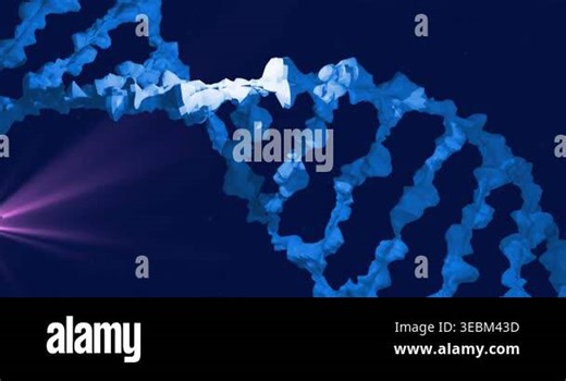 Animation of close-up of rotating dna helix over lens flare against black background. Digitally generated, hologram, illustration, molecule, anatomy, medical, healthcare and technology concept Stock Video Footage - Alamy