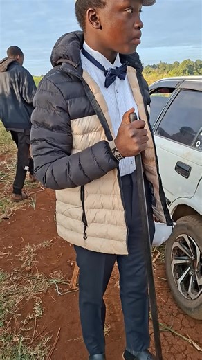 Discover the Heartwarming Story of K Ziggy Farm Cows