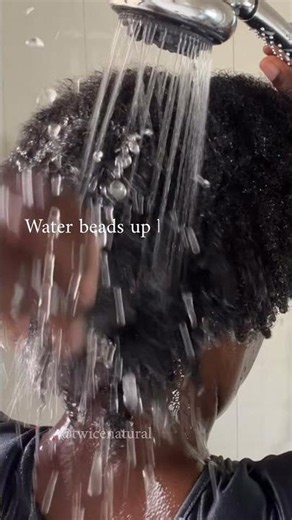 🪮Type 4 medium porosity hair. #porosity #naturalhair #type4hair#naturalhaircare#naturalhairjourney