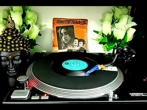 Reloop RP-2000 USB MK2 Direct Drive Turntable