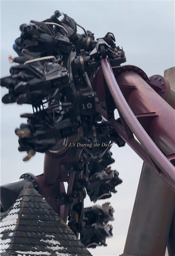 Experience Night Rides on F.L.Y at Phantasialand