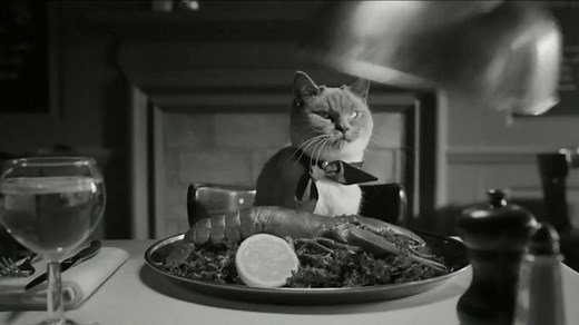 Temptations Cat Treats TV Spot, 'Cats Lose Their Cool'