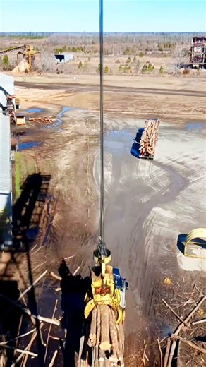 #megamachines #crane #logloader