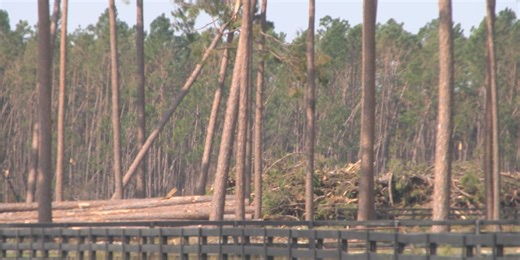 Georgia farmers still waiting on USDA block grants nearly a year after Hurricane Helene