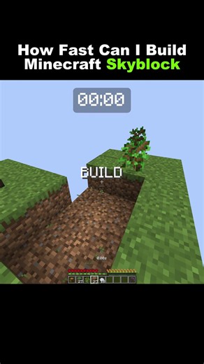 How Fast Can I Build Skyblock In Minecraft? #minecraft