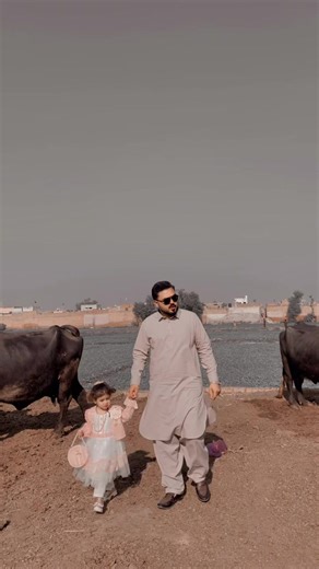 Amal Zara: An Enchanting Collaboration with Top Singers