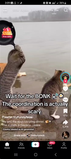 slipping Jimmy (@jamesconroy502)’s videos with original sound - laurieirwinguerra