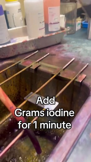 Microbiology: Gram stain ❤️❤️ #lablife #microbiology | Lab life