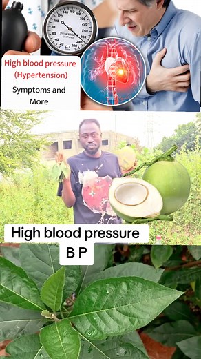 Understanding High Blood Pressure: Causes and Effects