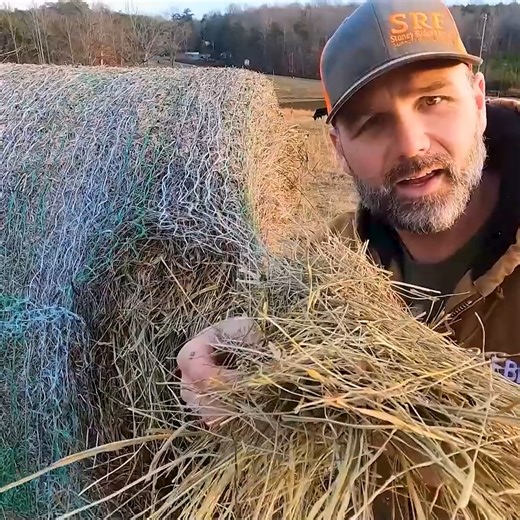 211K views · 1.6K reactions | How Smart Farmers Store Hay for Winter! It's COMMON SENSE #farming #cow #farmer | Stoney Ridge Farmer | Facebook
