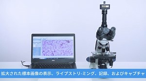 SWIFT USB顕微鏡カメラ HD CMOS CマウントWindows/Mac/Linux対応 USB3.0