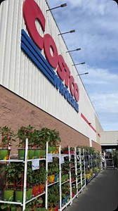 49K views · 521 reactions | Costco’s Garden Centres are springing up across the country! Check out Costco.ca to get updates on when your local garden centre will open.  *** Les Centres du jardin de Costco ouvrent à travers le pays! Consultez Costco.ca pour obtenir des mises à jour sur l’ouverture de votre Centre du jardin local.  | Costco Wholesale Canada | Facebook