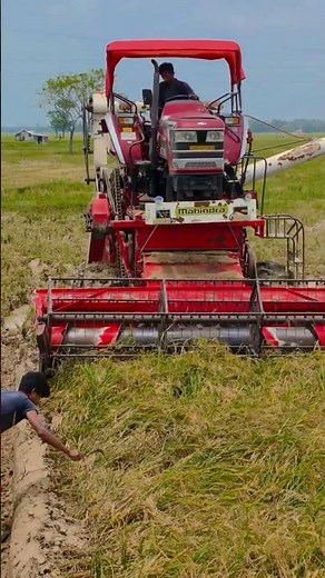 #dhan_kata_machine #tractor #farming #mahindra_tractor