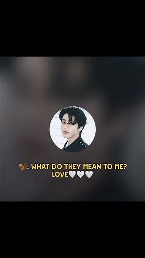 What does skz members mean to you? 😭😭😭 #kpop #straykids #skz #hanjisung