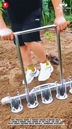 Making Planting Holes Using a Manual Hole Digger in the Field #smartfarming #gardeningtips