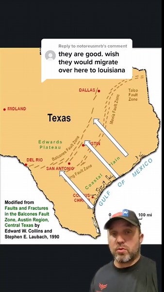 Everything You Need to Know About Axis Deer in Texas