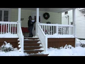 Blizzard of 2011 Springfield Illinois