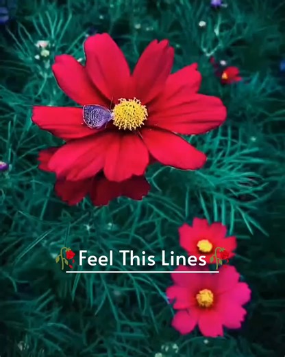 5.9K views · 196 reactions | - Golden Words! 鹿 | Deep Ｍｅｍｏｒｙ | Facebook