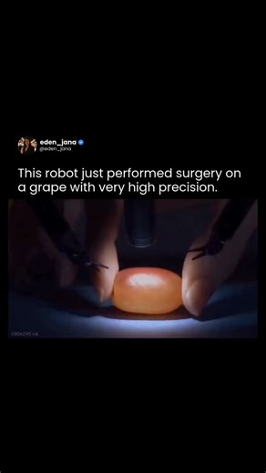 Eden Jana | Early Signals in AI & Science on Instagram: "Follow @eden_jana for more content. Surgical robot delicately peeling the skin of a grape is a well-known demonstration of the da Vinci Surgical System’s precision, designed to highlight how finely controlled robotic instruments can be during complex procedures. Each robotic arm translates a surgeon’s hand movements into motions scaled down to millimeter and sub millimeter accuracy, while built in tremor filtration removes natural hand sha