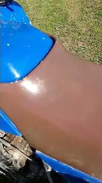 Yamaha bear tracker 250 review