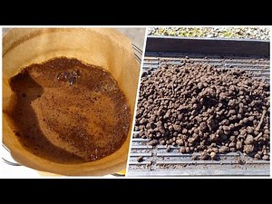 I made a bokashi fertilizer with coffee grounds.