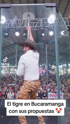 Videos de La bodega de Petro (@la.bodega.de.petr) con “sonido original - La bodega de Petro”