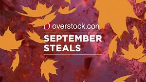 Overstock.com September Steals TV Spot, 'Prices are Falling'