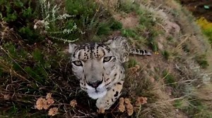 World failing to meet wildlife target - U.N.