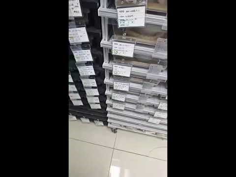 POV Snake Care Livestream | Inside a Pet Snake Habitat | Real-Time Reptile Husbandry