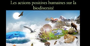 Les échelles de la biodiversité – SVT 2nde | Vive les SVT ! Les sciences de la vie et de la Terre au collège et au lycée - Cours de SVT en ligne -