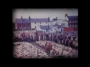 Ludlow Cattle Market 1970