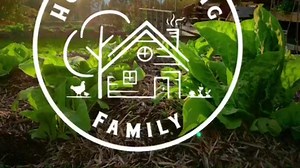 Making Comfrey Compresses... Well we made it 13 years of parenting without a broken bone... but with so many active children in the house we knew that that would not last forever! Tristan was out sledding and... well, lets just say that the sled won. And his pinky finger lost. After a quick trip to the doctor to get it set and splinted Mama went to her trusted herbal first aid cabinet and came back with comfrey. Watch as Carolyn shows you how to speed the healing of broken bones with a comfrey c