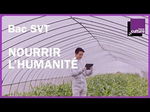 BAC SVT révisions - Génétique et évolution