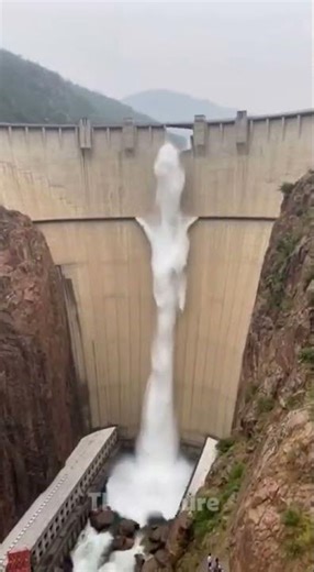 When the Dam Breaks | AI-Generated Disaster Scene #flood #elephant #travel