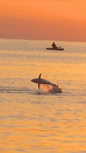 Tuna fishing in the KAYAK! #fishing | Coastal WorldWide