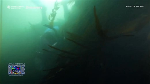 6.8K views · 37 reactions | L'ITALIA IN DIGITALE NEWS / MUX NAZIONALI...